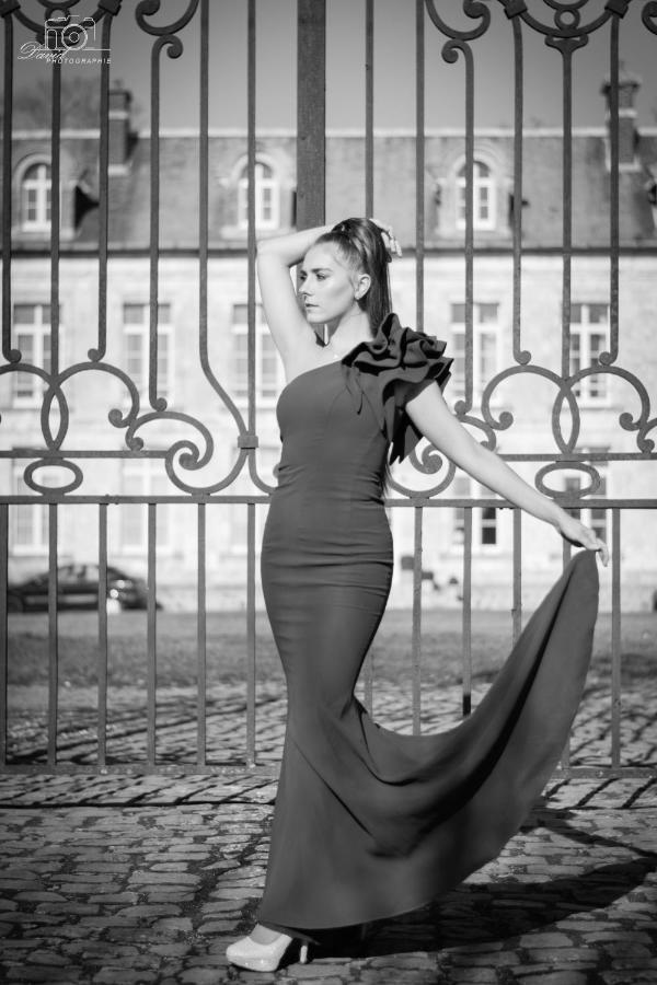 Chateau De Plessier-Roza Le Plessier-Rozainvillers Bagian luar foto